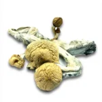 Buy Golden Teacher mushrooms Australia
